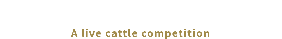 生きた牛でおこなわれる品評会