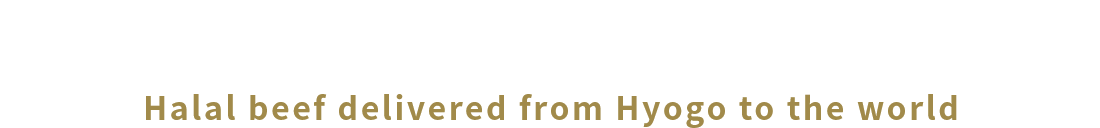 兵庫から世界に届ける ハラールビーフ